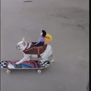 Fantasia Pet Segura Peão | Para Cachorro e Gato