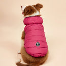 Colete Reversível Colorful | Para Cachorro e Gato