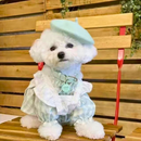 Boina Pet | Para Cachorro e Gato