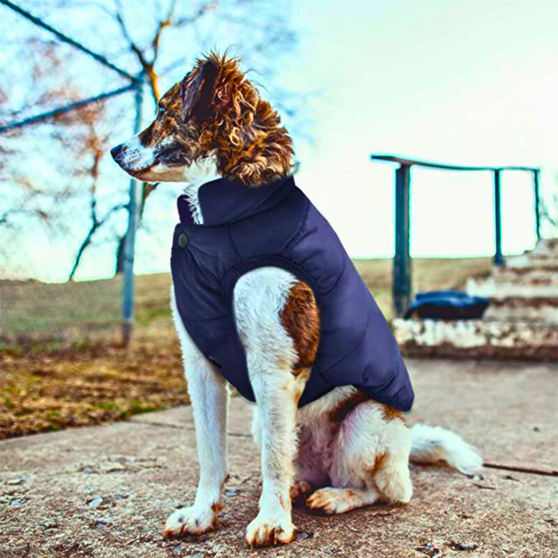 Colete Pet Winter | Roupa de inverno | Para Cachorro e Gato