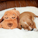 Bichinho Companheiro | Para Cachorro e Gato