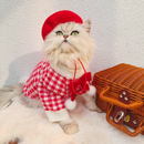 Boina Pet | Para Cachorro e Gato