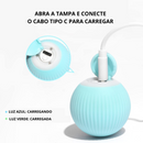 Bola Inteligente Interativa | Para Gato