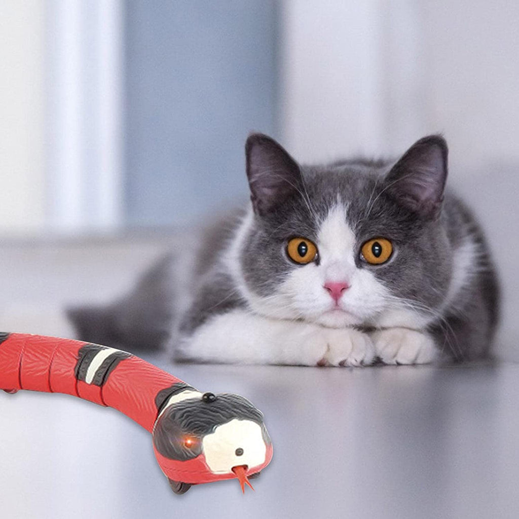 Brinquedos Inteligentes Do Gato Que Detectam O Jogo Eletrônico Automático  Interativo Do Gato Da Serpente Que Teasering Brinquedos Do Gatinho  Recarregável De Usb Para Gatos Cães Pet - Brinquedos Para Gatos - AliExpress