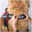 Coleira Peitoral Personalizada com faixa Refletiva | Para Cachorro