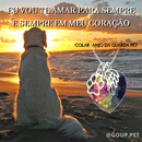 Colar Anjo da Guarda Pet