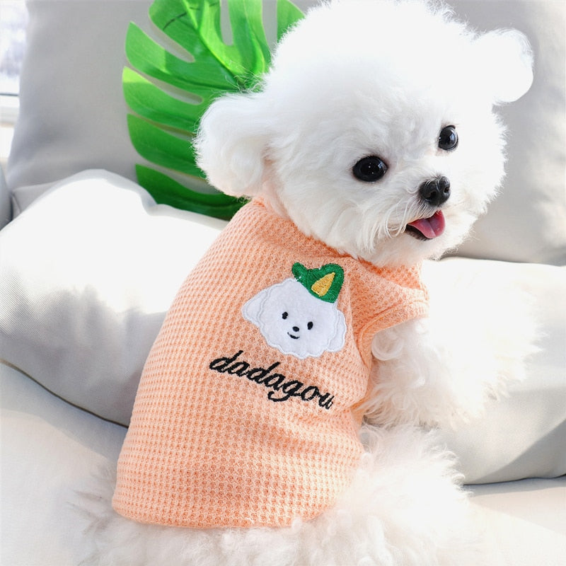 T-shirt Pet Candy | Para Cachorro e Gato