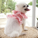 Coleira Pet Flower | Para Cachorro