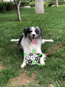 Bola Copa do Mundo Pet | Para Cachorro