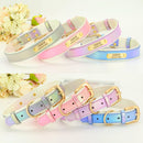 Coleira Personalizada Maya | Para Cachorro