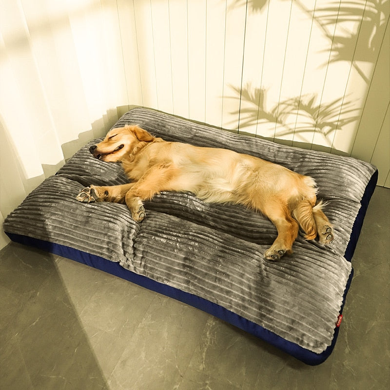 Cama Pet Dream | Para Cachorro