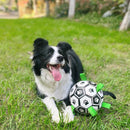 Bola Copa do Mundo Pet | Para Cachorro