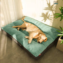 Cama Pet Dream | Para Cachorro