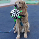 Bola Copa do Mundo Pet | Para Cachorro