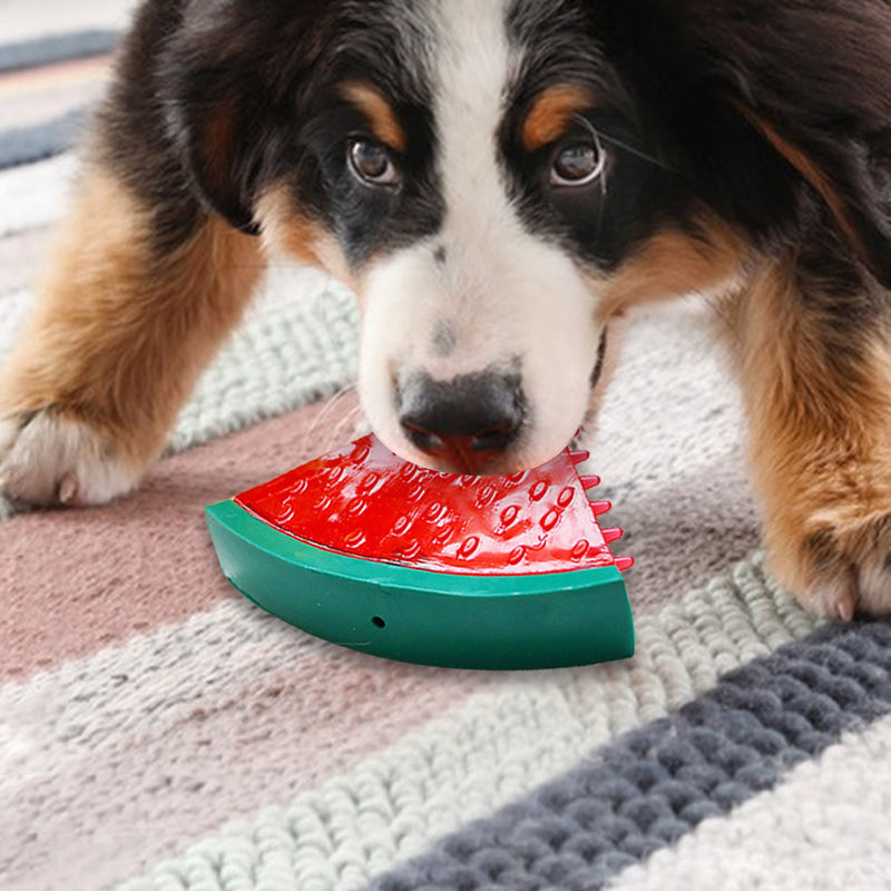 Brinquedo Gelado Fresh | Para Cachorro