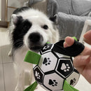 Bola Copa do Mundo Pet | Para Cachorro