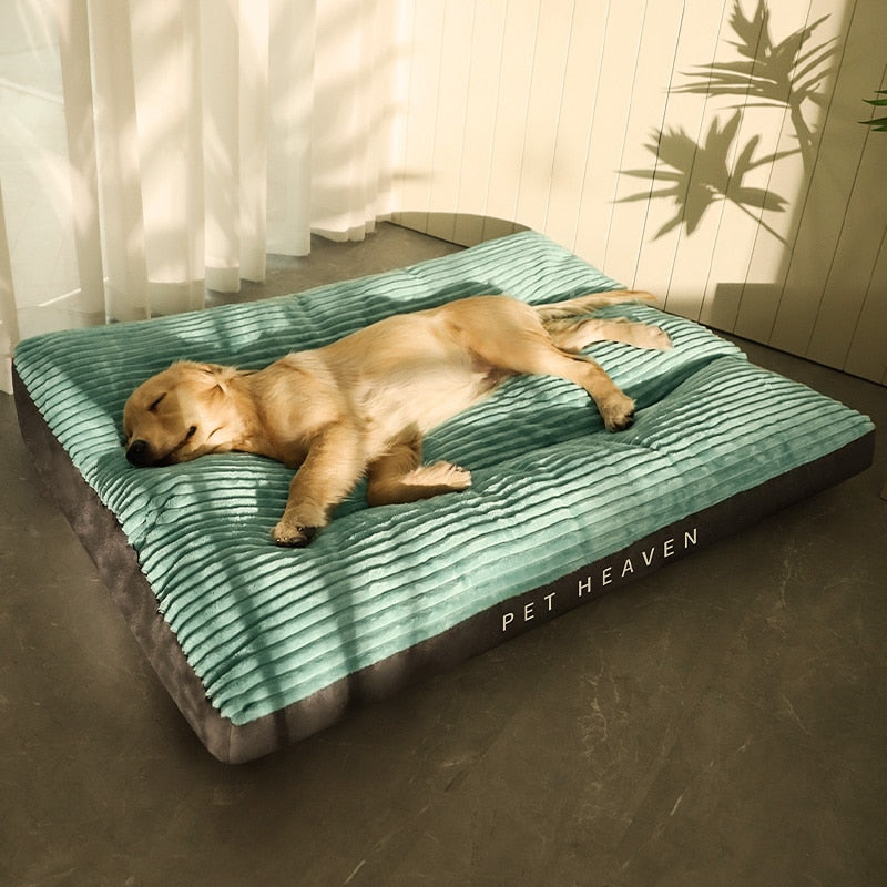 Cama Pet Dream | Para Cachorro