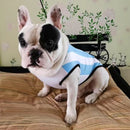 Camisa Copa do Mundo Pet | Para Cachorro e Gato