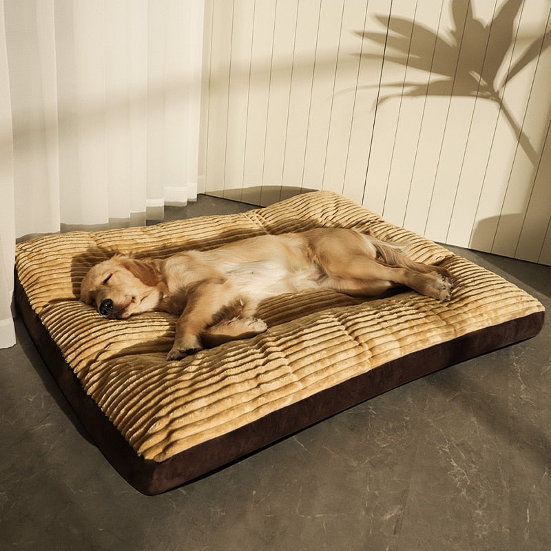 Cama Pet Dream | Para Cachorro