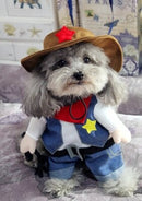 Fantasia Pet Cowboy | Para Cachorro e Gato
