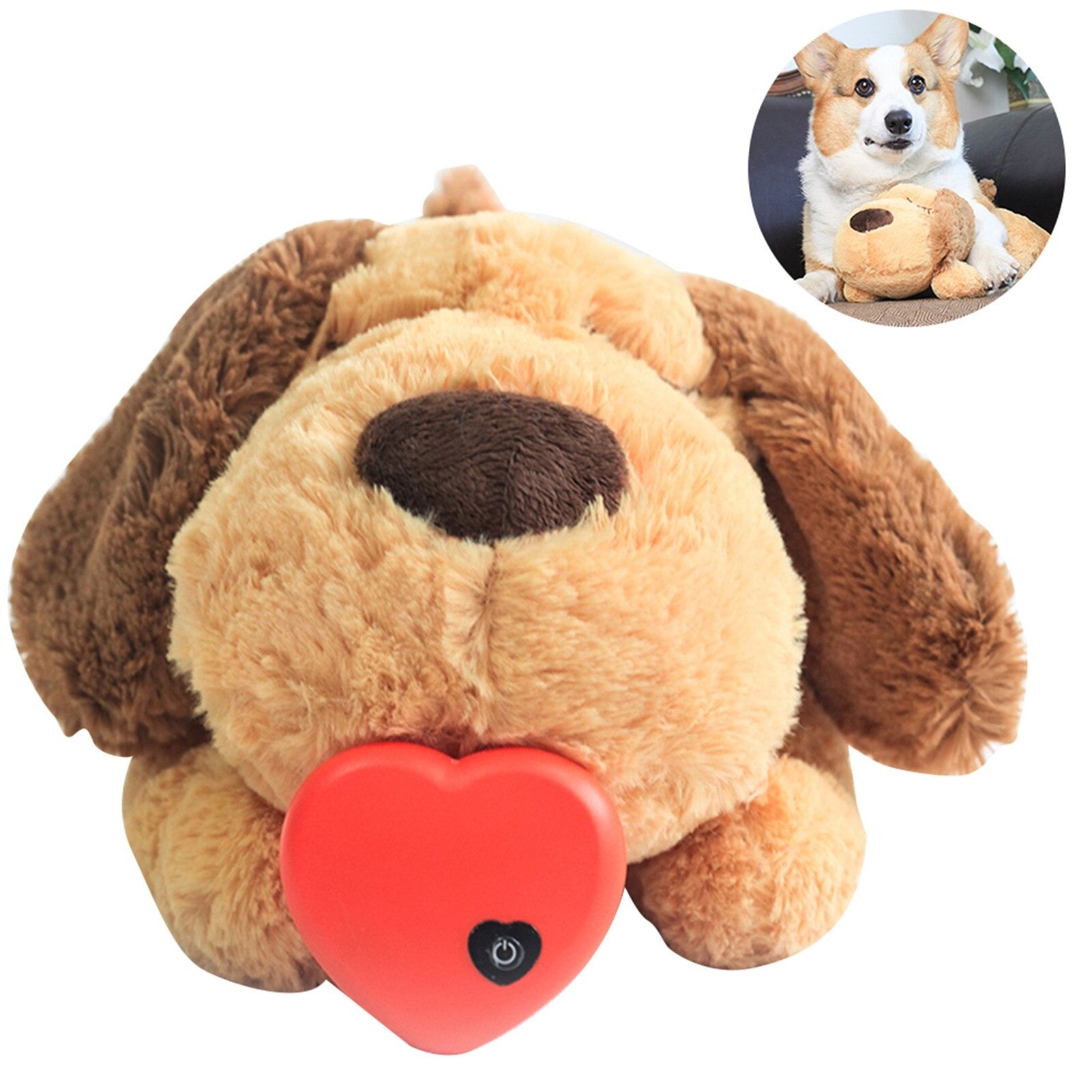 Bichinho Companheiro | Para Cachorro e Gato