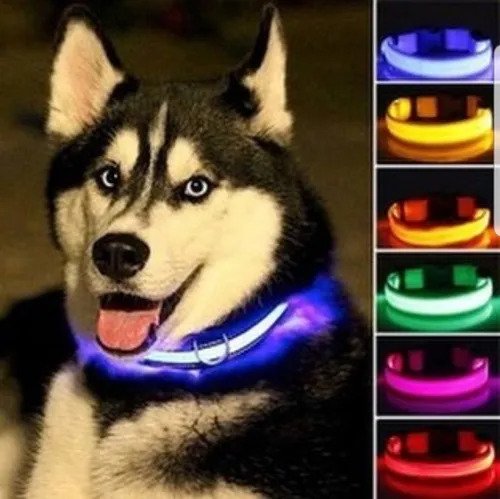 Coleira Com Led | Para Cachorro