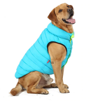 Colete Reversível Colorful | Para Cachorro e Gato