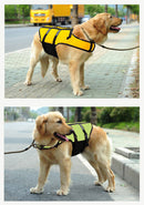 Colete Salva Vidas Pet Safe | Para Cachorro