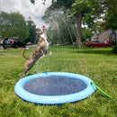 Piscina com Chafariz | Para Cachorro