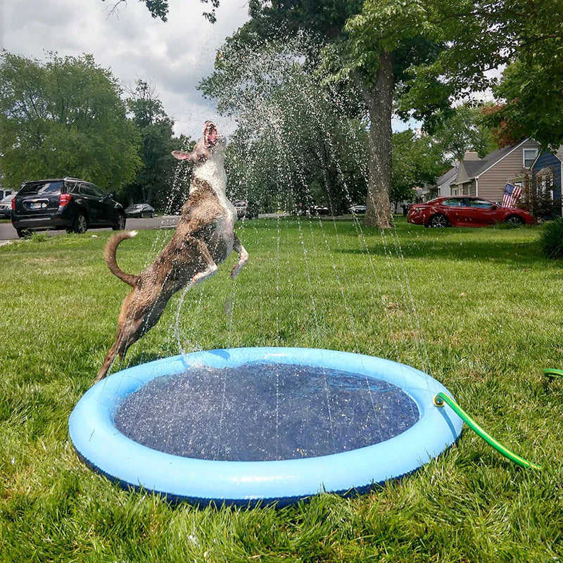 Piscina com Chafariz | Para Cachorro