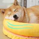 Caminha Gelada Picolé | Para Cachorro e Gato