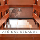 Cerca Para Pet | Para Cachorro